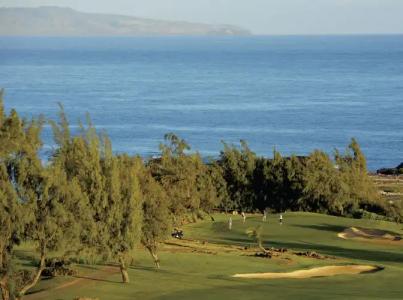 The Ritz-Carlton Maui, - 33