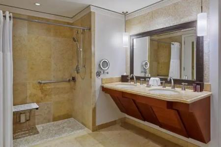 The Ritz-Carlton Maui, - 41