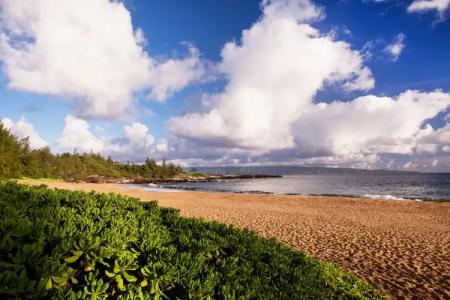 The Ritz-Carlton Maui, - 32