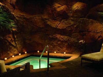 The Ritz-Carlton Maui, - 20