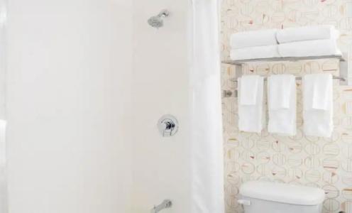 Holiday Inn PHOENIX-MESA/CHANDLER by IHG - 25