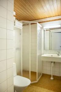 Laplands Riekonlinna - 6