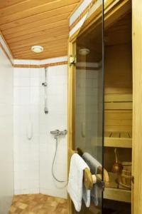 Laplands Riekonlinna - 45