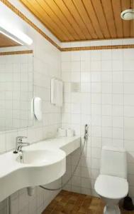 Laplands Riekonlinna - 48