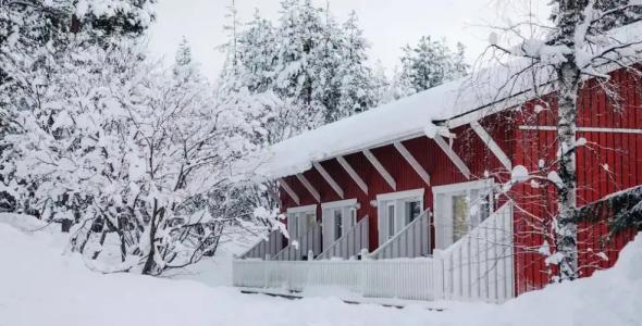Laplands Sirkantähti - 88