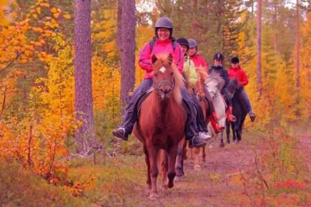 Break Sokos Levi - 25