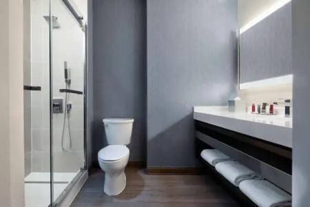 Dallas/Plano Marriott at Legacy Town Center - 44