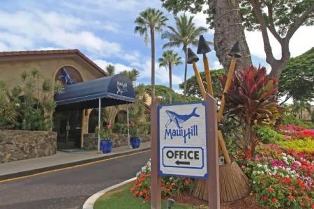 Maui Hill #97 - 42