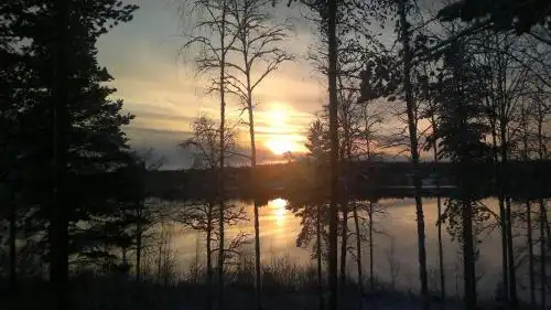 Pyrynpesä - 40