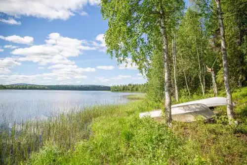 Pyrynpesä - 22