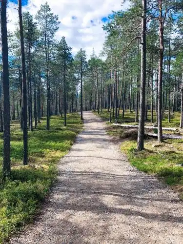 Pyrynpesä - 33