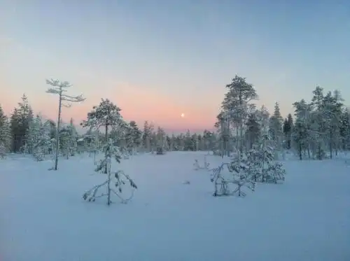 Pyrynpesä - 35