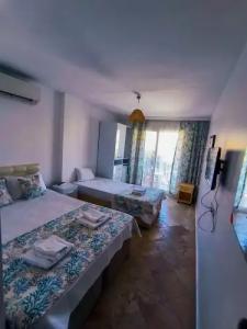 Degirmenli Konak - 61