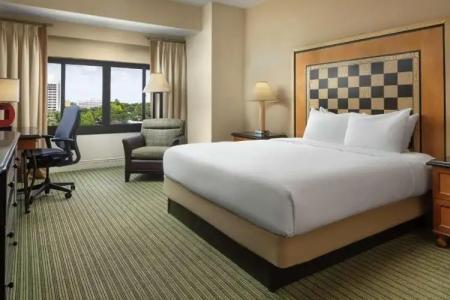 Hilton Orlando Lake Buena Vista - Disney Springs™ Area - 38