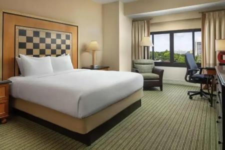Hilton Orlando Lake Buena Vista - Disney Springs™ Area - 53