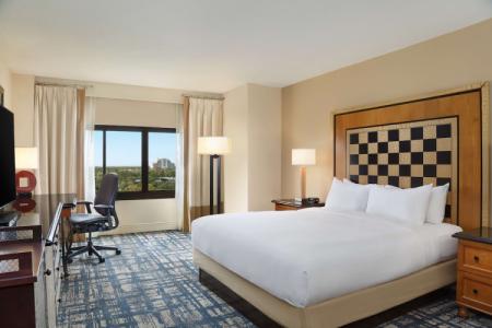 Hilton Orlando Lake Buena Vista - Disney Springs™ Area - 4