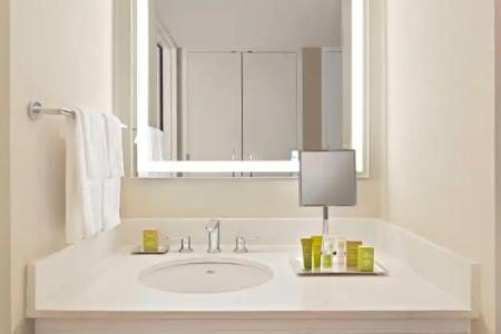 Hilton Orlando Lake Buena Vista - Disney Springs™ Area - 50