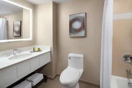 Hilton Orlando Lake Buena Vista - Disney Springs™ Area - 51