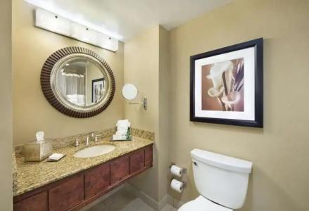 Hilton Orlando Lake Buena Vista - Disney Springs™ Area - 63