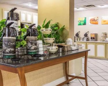 Quality Inn at the Mall - - 20