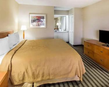 Quality Inn at the Mall - - 30