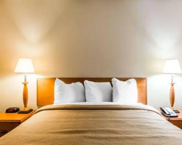 Quality Inn at the Mall - - 29