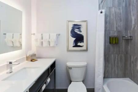 Econo Lodge Inn & Suites Macon West - 8