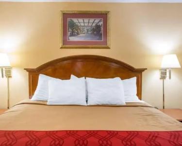 Econo Lodge Inn & Suites Macon West - 25