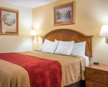 Econo Lodge Inn & Suites Macon West - 4