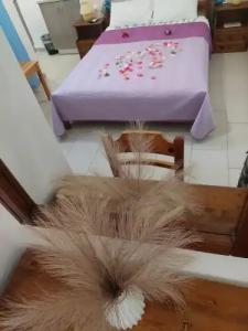 Evelina Pension - 109