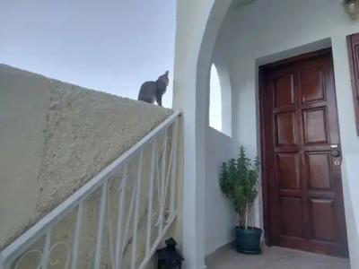 Evelina Pension - 51