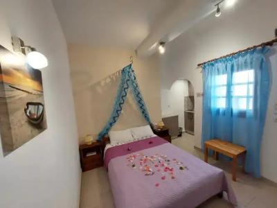 Evelina Pension - 101