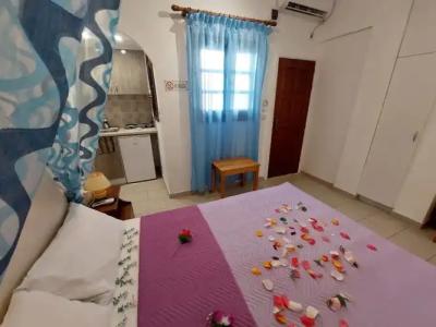 Evelina Pension - 102