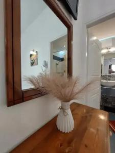 Evelina Pension - 100