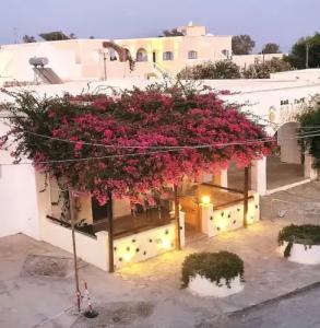 Evelina Pension - 134