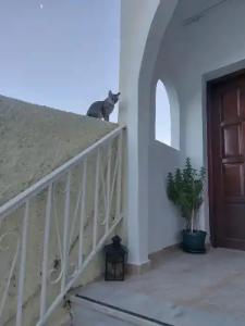 Evelina Pension - 52