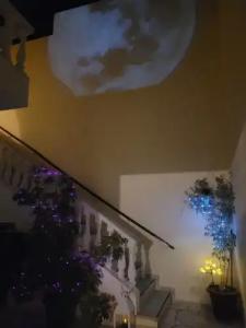 Evelina Pension - 132