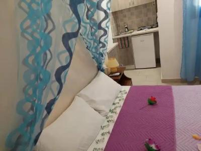 Evelina Pension - 106