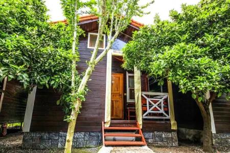 Sunrise Bungalows - 20