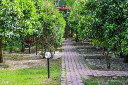 Sunrise Bungalows - 40