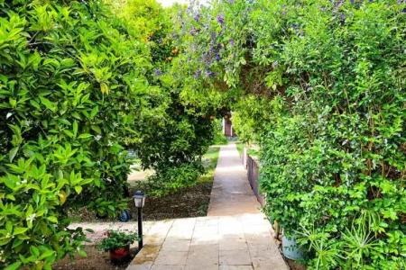 Sunrise Bungalows - 45