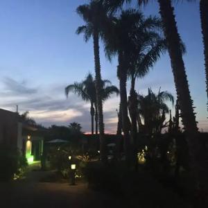 Villetta del Salento Exclusive B&B - 30