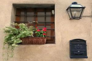 Antica Casa Naldi, Luciani