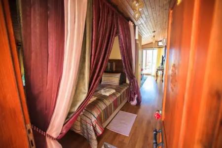 Lemon Villa - Adult Only - 78