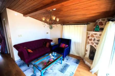 Lemon Villa - Adult Only - 79