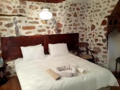 Lemon Villa - Adult Only - 52