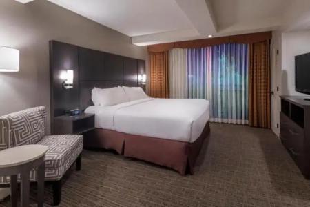 Holiday Inn & Suites PHOENIX AIRPORT NORTH by IHG - 84