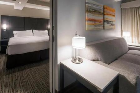 Holiday Inn & Suites PHOENIX AIRPORT NORTH by IHG - 5