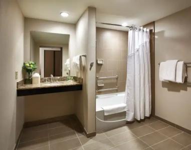 Holiday Inn & Suites PHOENIX AIRPORT NORTH by IHG - 48