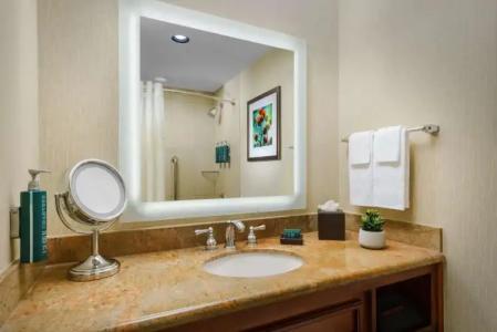 Hilton Phoenix Airport - 10